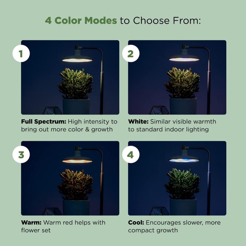 Avylara Tabletop Plant Light