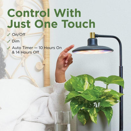 Avylara Tabletop Plant Light