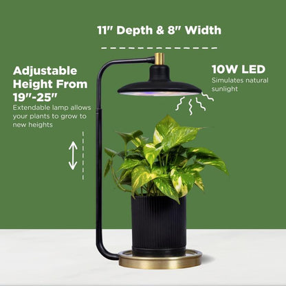Avylara Tabletop Plant Light