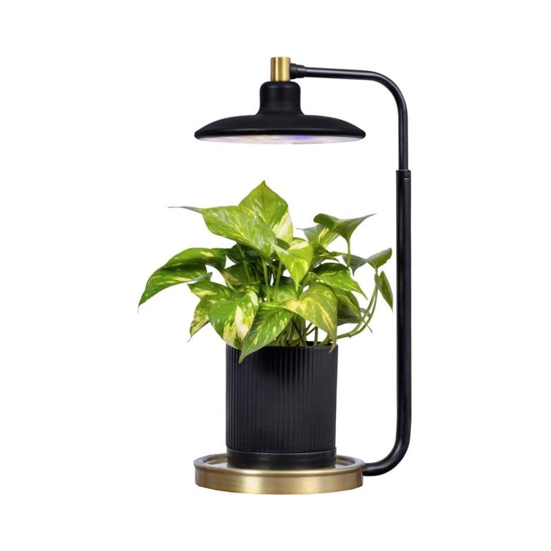 Avylara Tabletop Plant Light